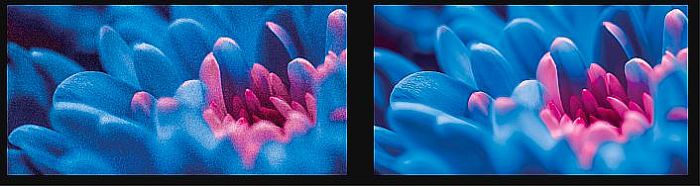 8c57ef26b43571fa5fec9aec141d5a12